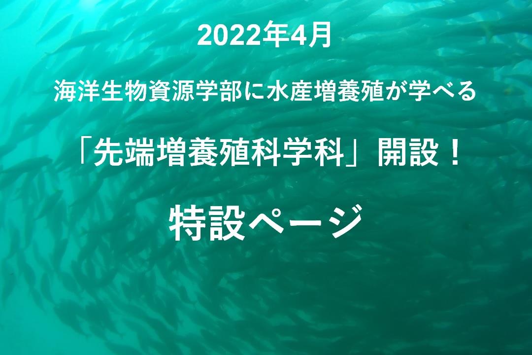 先端増養殖科学科